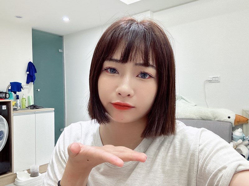 試用